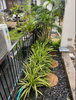 listing thumbnail image 14
