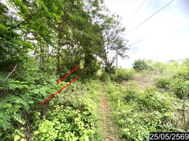 รูป ที่ดินว่างเปล่า 169 ตร.วา ศรีบุญเรือง หนองบัวลำภู 673,000 - รูปที่ 5/21