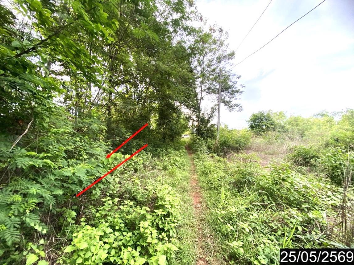 รูป ที่ดินว่างเปล่า 169 ตร.วา ศรีบุญเรือง หนองบัวลำภู 673,000 - รูปที่ 13/21