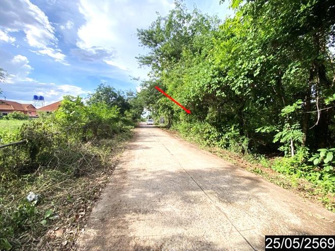 รูป ที่ดินว่างเปล่า 169 ตร.วา ศรีบุญเรือง หนองบัวลำภู 673,000 - รูปที่ 6/21