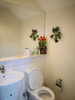 listing thumbnail image 16