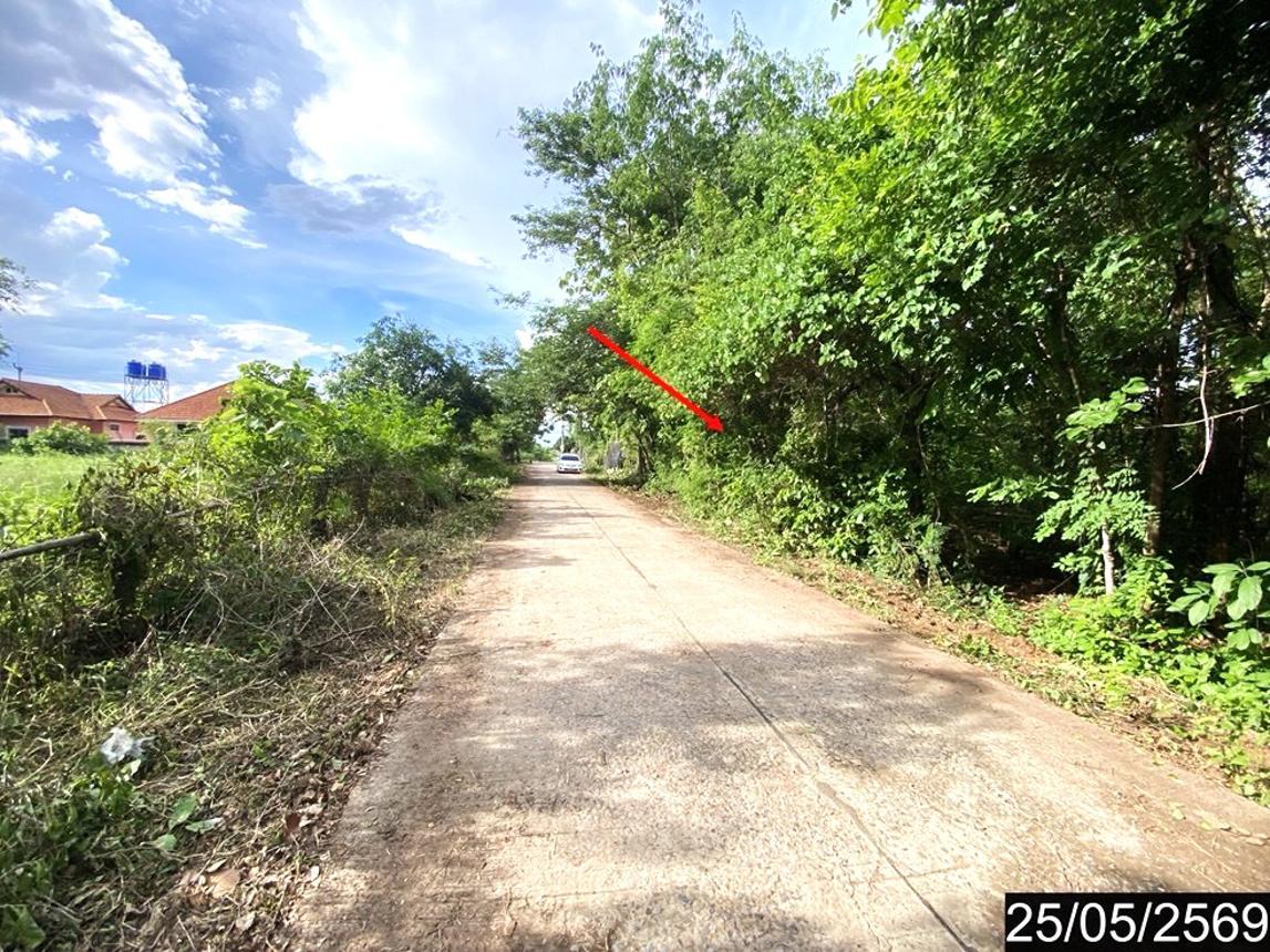 รูป ที่ดินว่างเปล่า 169 ตร.วา ศรีบุญเรือง หนองบัวลำภู 673,000 - รูปที่ 14/21