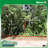 listing thumbnail image 18