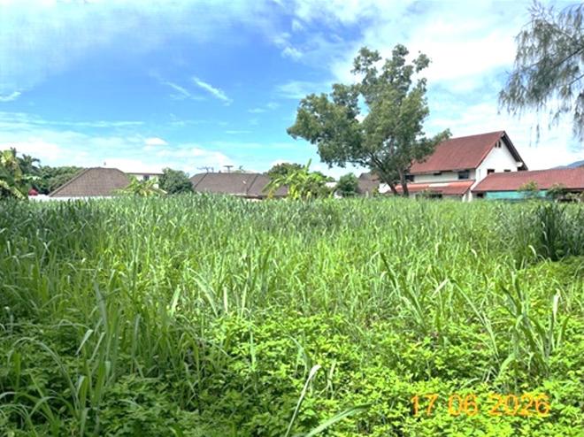 รูป ที่ดินว่างเปล่า 549 ตร.วา สันทราย เชียงใหม่ 11M - รูปที่ 5/19