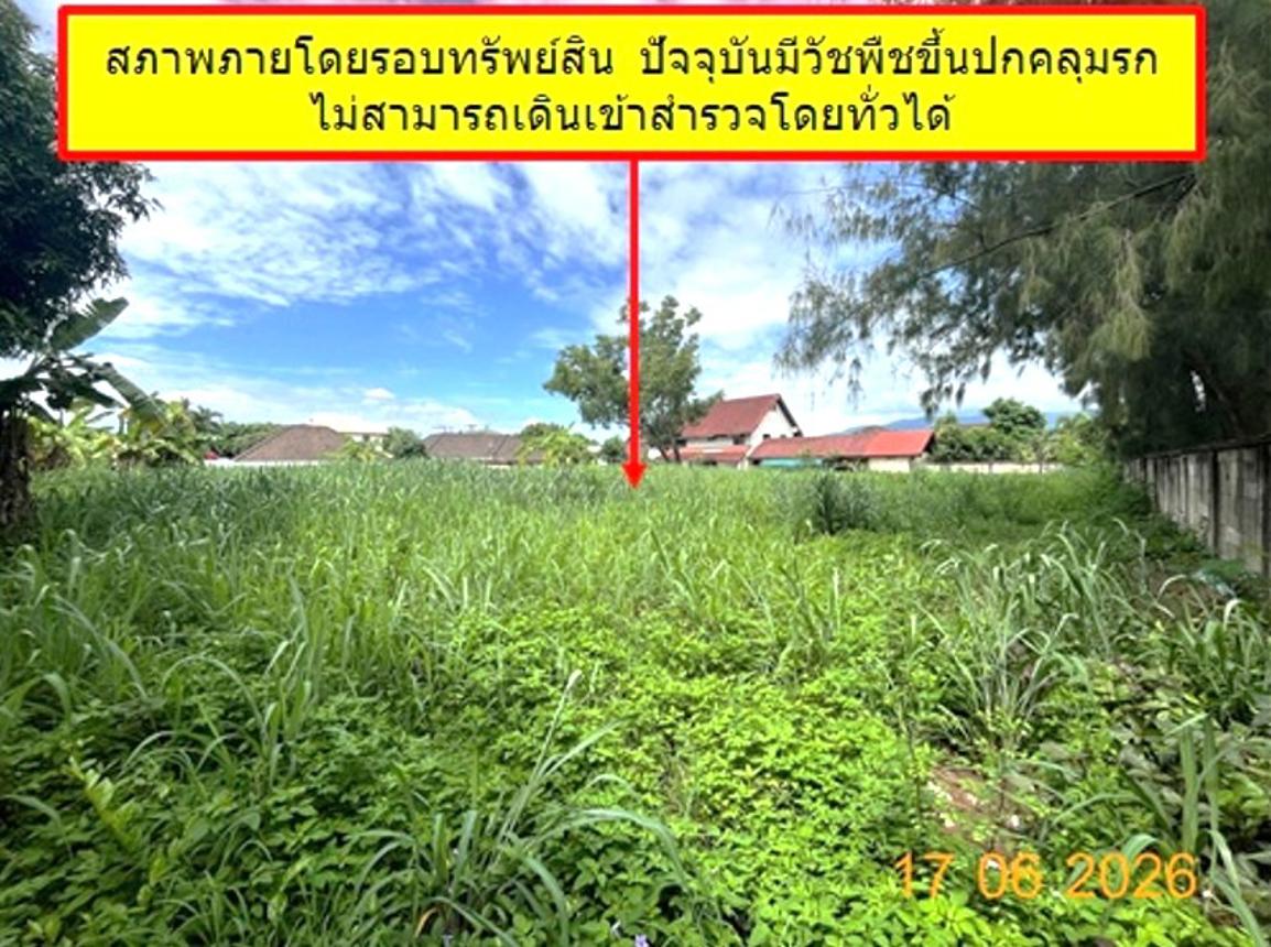 รูป ที่ดินว่างเปล่า 549 ตร.วา สันทราย เชียงใหม่ 11M - รูปที่ 10/19