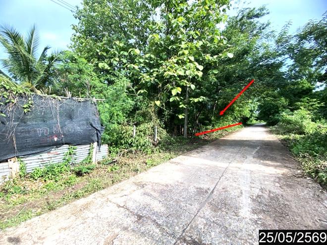 รูป ที่ดินว่างเปล่า 169 ตร.วา ศรีบุญเรือง หนองบัวลำภู 673,000 - รูปที่ 8/21