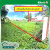 listing thumbnail image 16