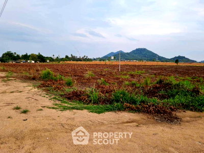 Land for sale Chonburi : Land For Sale In Khlong Kio, Ban Bueng Chon Buri (ID 3053821)