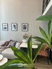 listing thumbnail image 20