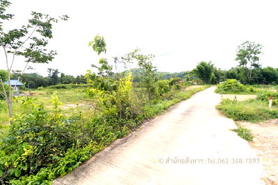 ที่ดิน นครนายก : [ขาย] ที่ดินถมแล้ว นครนายก ติดน้ำ วิวสวย ทำบ้านสวนเกษตรในฝัน ใกล้กรุงเทพฯ ด่วน! ฟรีค่าโอน