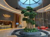 listing thumbnail image 9