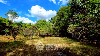 Land for sale Chiang Mai : Land For Sale In Mae Raem Mae Rim Chiang Mai (ID 3058471)