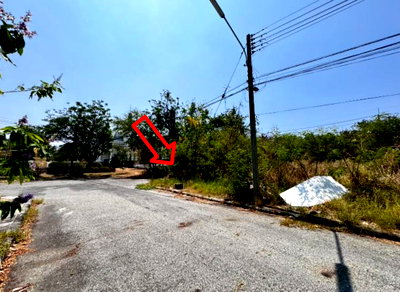 Land for sale TFD Industrial Estate : LAND 138.1 Sq.w. Bang Pakong Chachoengsao for 3M