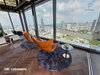 listing thumbnail image 36