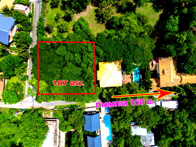 Land for sale Chonburi : Land for sale, 150 meters from the sea; great atmosphere.
