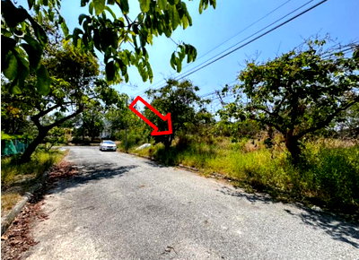 Land for sale TFD Industrial Estate : LAND 161.8 Sq.w. Bang Pakong Chachoengsao for 3.6M