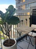 listing thumbnail image 4