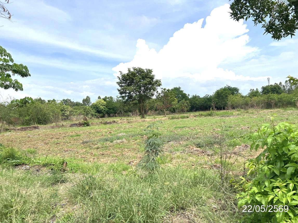 รูป ที่ดินว่างเปล่า 9263 ตร.วา วัฒนานคร สระแก้ว 7.4M - รูปที่ 11/15