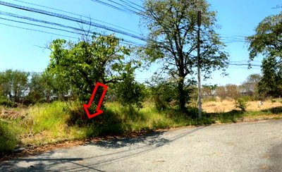 Land for sale TFD Industrial Estate : LAND 254.6 Sq.w. Bang Pakong Chachoengsao for 5.6M