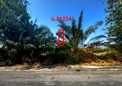 Land for sale TFD Industrial Estate : LAND 161.2 Sq.w. Bang Pakong Chachoengsao for 3.7M