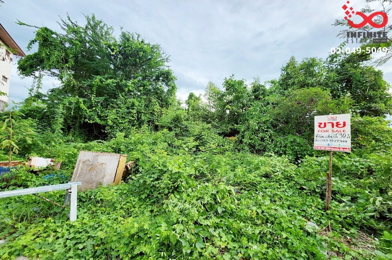 รูป ขายที่ดิน 90.4 ตร.ว. ถนนรังสิต-นครนายก คลอง 9 หมู่บ้านเรือนสุข 2 ธัญบุรี - รูปที่ 1/6