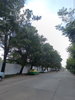listing thumbnail image 4