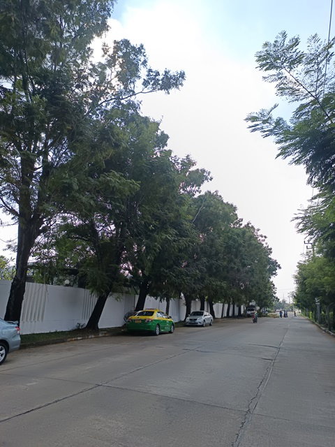 รูป ขายที่ดินติดถนนสุขาภิบาล5 ซอย82 - รูปที่ 5/7