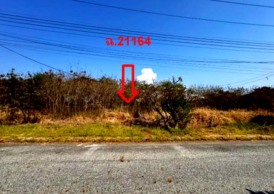 Land for sale TFD Industrial Estate : LAND 157.8 Sq.w. Bang Pakong Chachoengsao for 3.5M