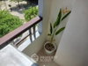 listing thumbnail image 40