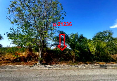 Land for sale TFD Industrial Estate : LAND 161.2 Sq.w. Bang Pakong Chachoengsao for 3.7M