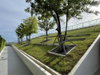 listing thumbnail image 18