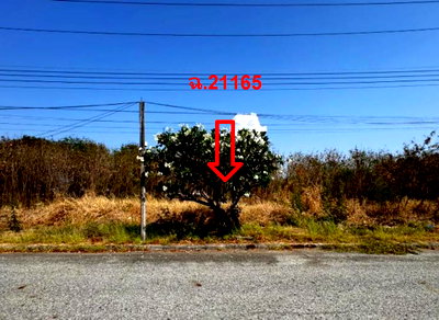Land for sale TFD Industrial Estate : LAND 157.4 Sq.w. Bang Pakong Chachoengsao for 3.5M