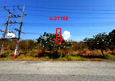 Land for sale TFD Industrial Estate : LAND 156.8 Sq.w. Bang Pakong Chachoengsao for 3.5M