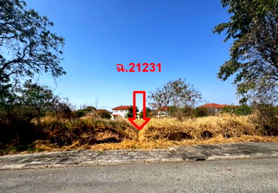 Land for sale TFD Industrial Estate : LAND 161.2 Sq.w. Bang Pakong Chachoengsao for 3.7M