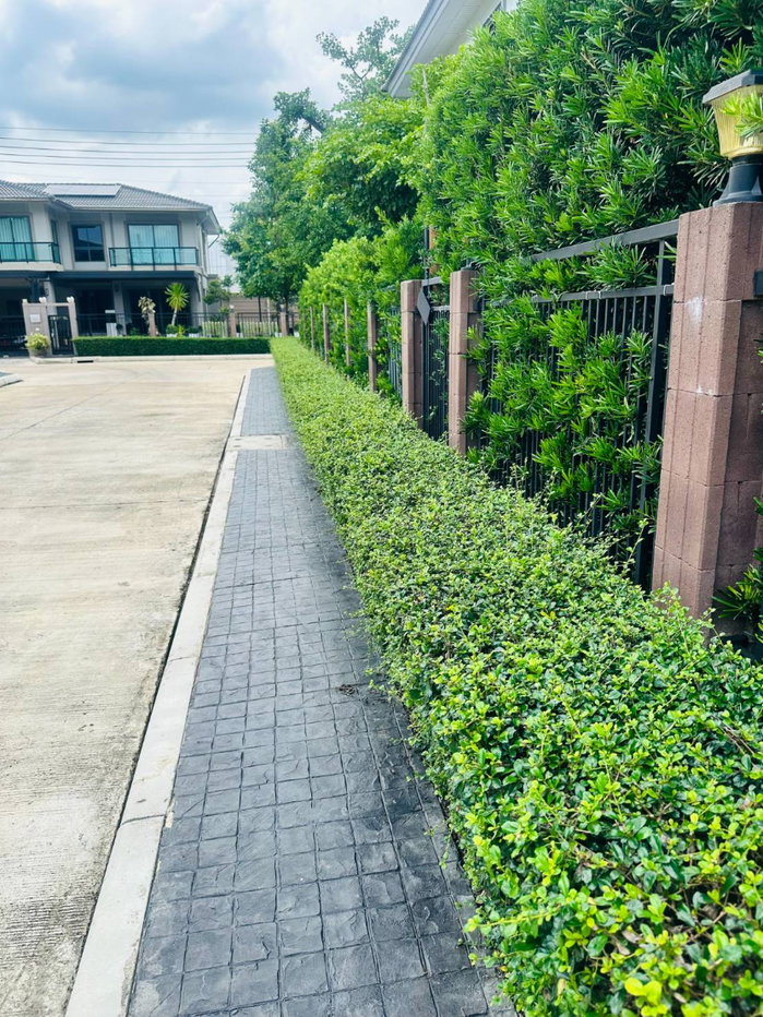 รูป ขายบ้านเดี่ยว โครงการภัสสร พุทธมณฑลสาย2 - บางแวก ขนาด 108 ตารางวา ใกล้เดอะมอลล์บางแค - รูปที่ 9/11