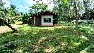 บ้านเดี่ยว กระบี่ : บ้านเดี่ยว 173.2 ตร.วา อ่าวลึก กระบี่ 1.1M