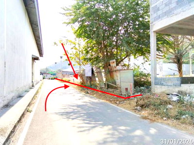ขายที่ดิน : ที่ดินว่างเปล่า 253 ตร.วา เฉลิมพระเกียรติ สระบุรี 2M
