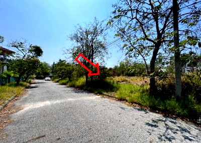 Land for sale TFD Industrial Estate : LAND 160.3 Sq.w. Bang Pakong Chachoengsao for 3.5M