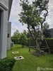listing thumbnail image 18