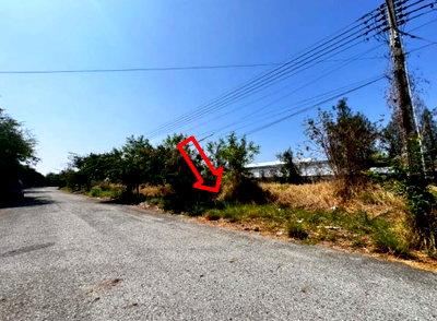 Land for sale TFD Industrial Estate : LAND 160.7 Sq.w. Bang Pakong Chachoengsao for 3.5M