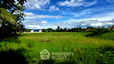 Land for sale Chiang Mai : For sale Land Plot In San Pu Loei, Doi Saket, Chiang Mai (ID 3062344)