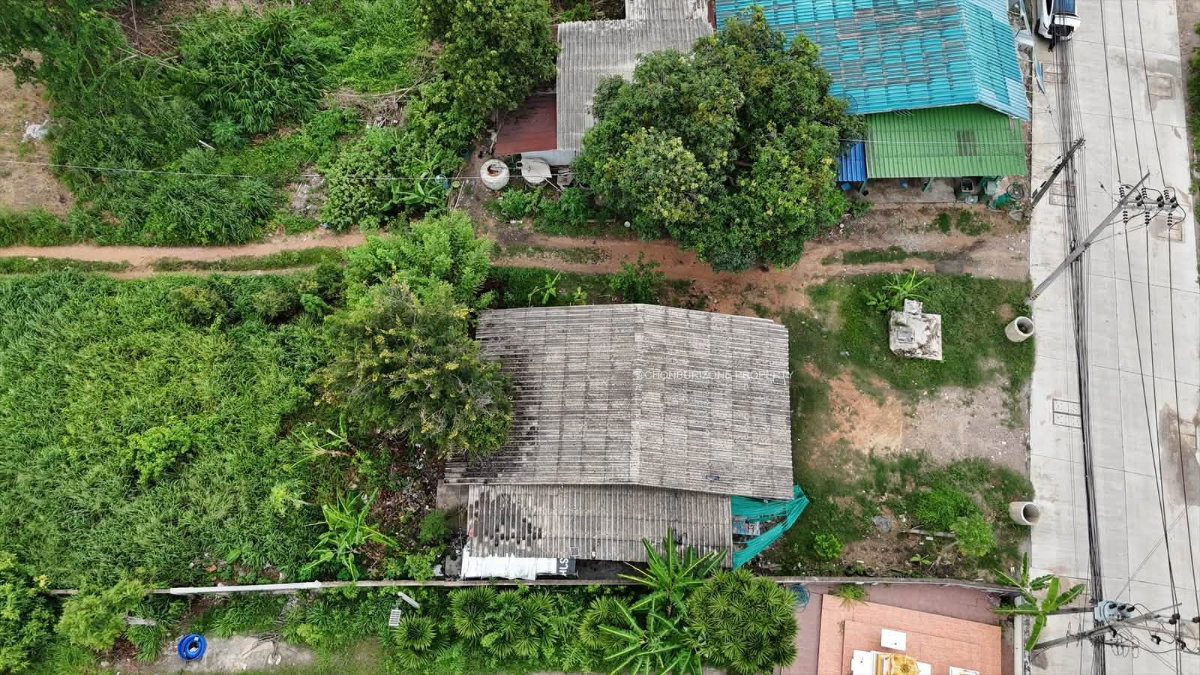 รูป เพียง 1.1 ล้านบาท! ที่ดินผังเมืองสีม่วงลาย 88 ตร.ว. ศรีราชา ทำเลทองสำหรับธุรกิจ - รูปที่ 6/12