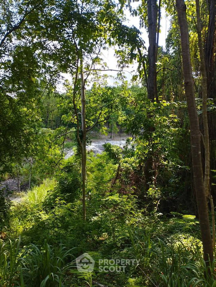 รูป ขายที่ดิน 46.9 ตร.ม. สุเทพ เมืองเชียงใหม่ เชียงใหม่ (ID 3066239) - รูปที่ 6/6