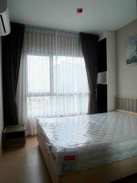 🏙️✨ FOR RENT: The Tree Sukhumvit 71 – Ekkamai — HIGH-FLOOR MODERN LIVING IN A PRIME LOCATION! 💰 Rental Price: 14,000 THB/month