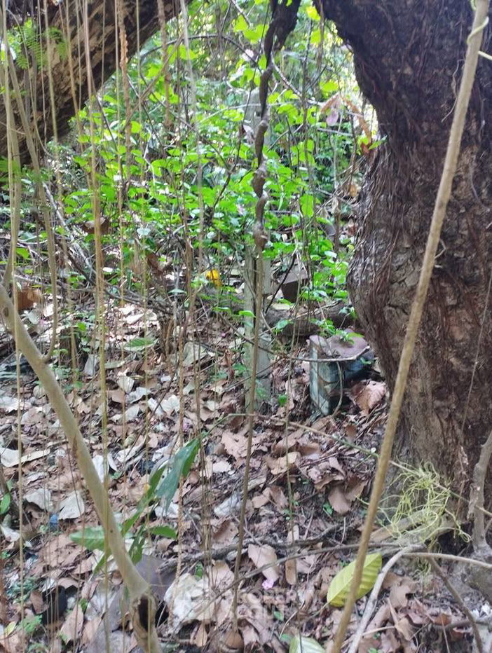 รูป ขายที่ดิน 46.9 ตร.ม. สุเทพ เมืองเชียงใหม่ เชียงใหม่ (ID 3066239) - รูปที่ 5/6