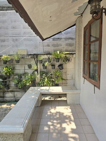 รูป บ้านเดี่ยวชั้นเดียวให้เช่า สุขุมวิท 42 เอกมัย BTSเพียง200เมตร - รูปที่ 3/8