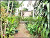 listing thumbnail image 34