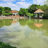 listing thumbnail image 29