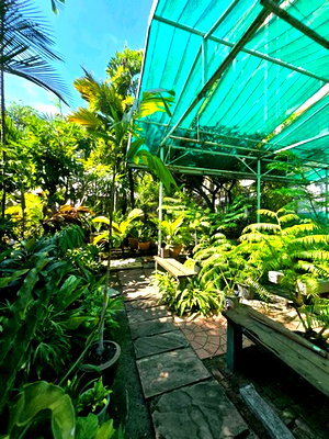 Houses for rent DONKI Mall Thonglor   : FOR RENT  HOUSE PROPERTY  25000 BAHT per MONTH