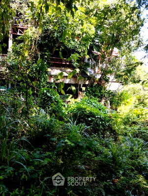 ที่ดิน สำนักงานขนส่งจังหวัดเชียงใหม่ : ขายที่ดิน 46.9 ตร.ม. สุเทพ เมืองเชียงใหม่ เชียงใหม่ (ID 3066239)